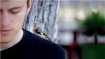 Menelaos Karamaghiolis: Re/Member Your House - Centre d'Art Contemporain Genève