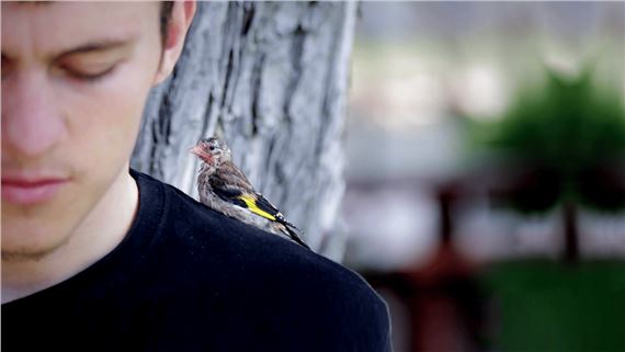 Menelaos Karamaghiolis: Re/Member Your House - Centre d'Art Contemporain Genève