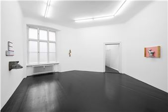 Richard Rezac: Harlequin - Isabella Bortolozzi Galerie