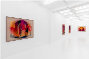 David Renggli: When I am in love I see orange / Loco naranja - Galería Casado Santapau