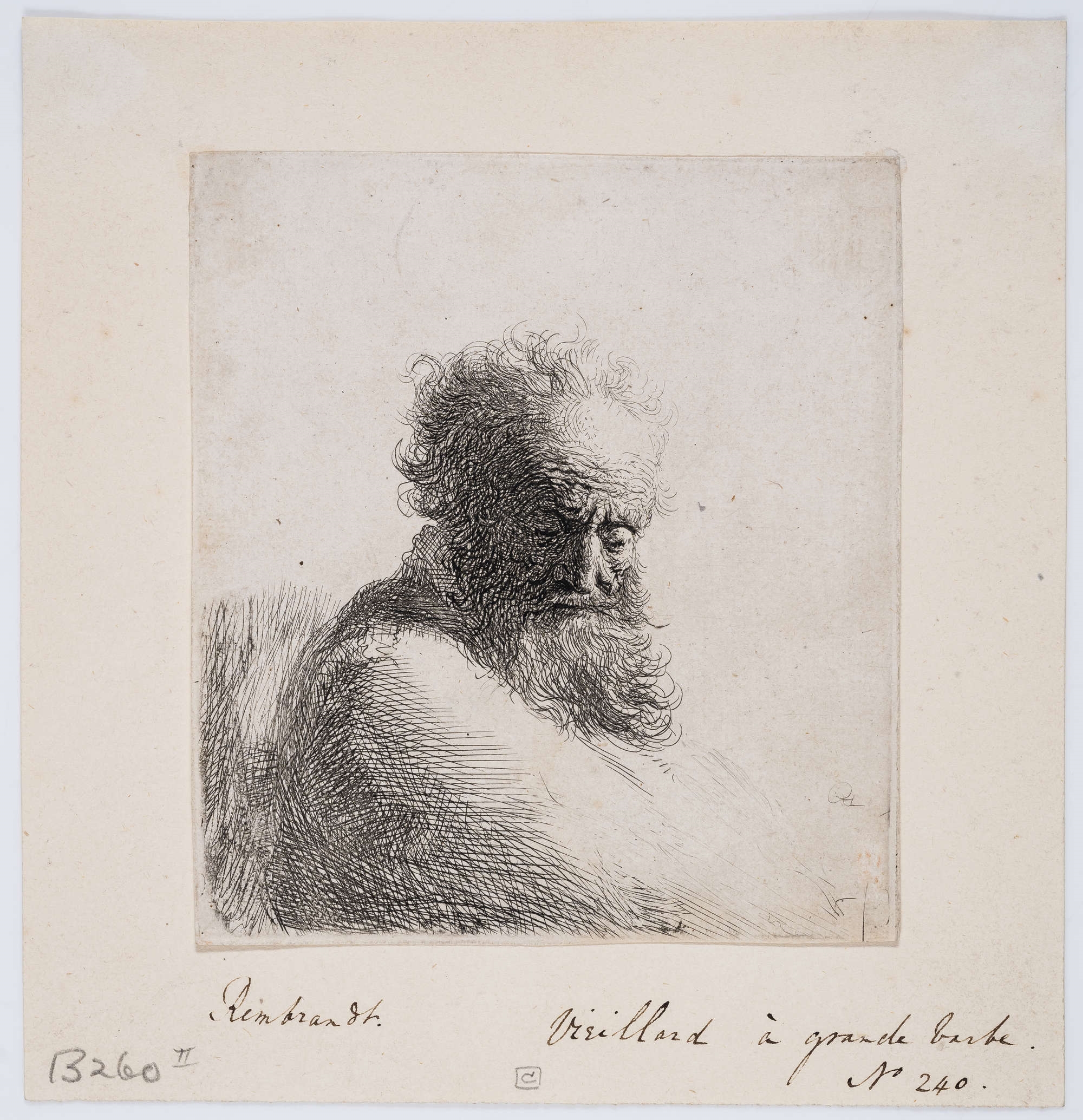 Rembrandt van Rijn | Bust of an old bearded man (1631) | MutualArt