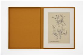 Dor Guez at Dvir Gallery