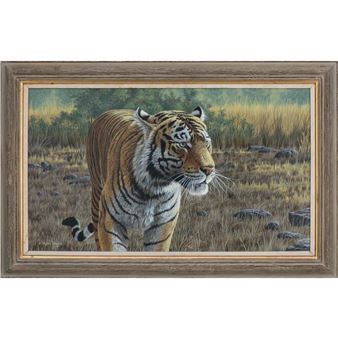 Tigre dans l'herbe - Stephen Gayford