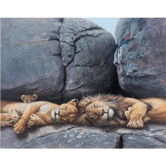 Lions at rest, with Common Agama - Harro Maass