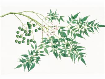 Extraordinary Endeavors - The Brunei Gallery, SOAS