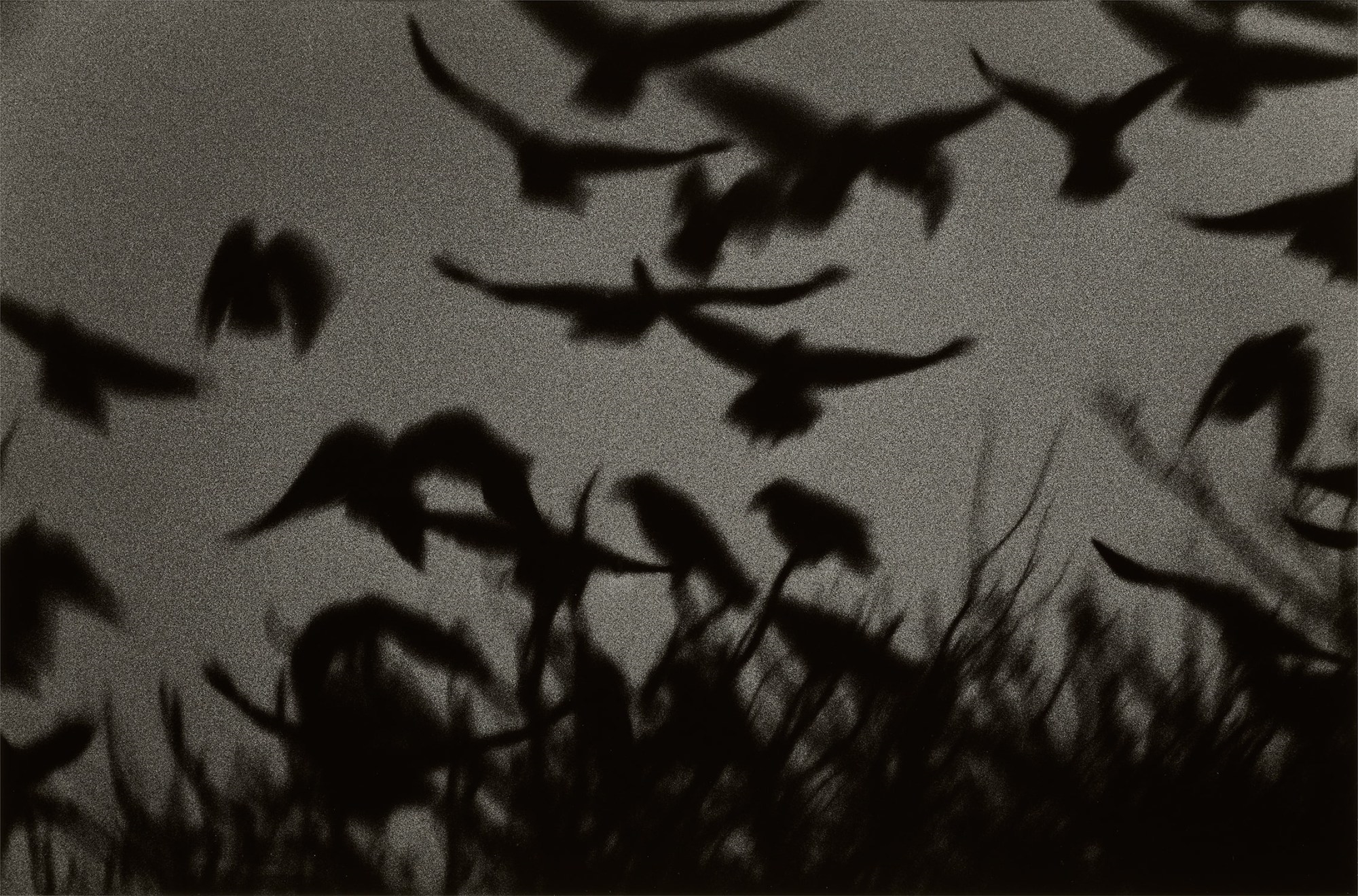 Masahisa Fukase | Kanazawa from Ravens | MutualArt