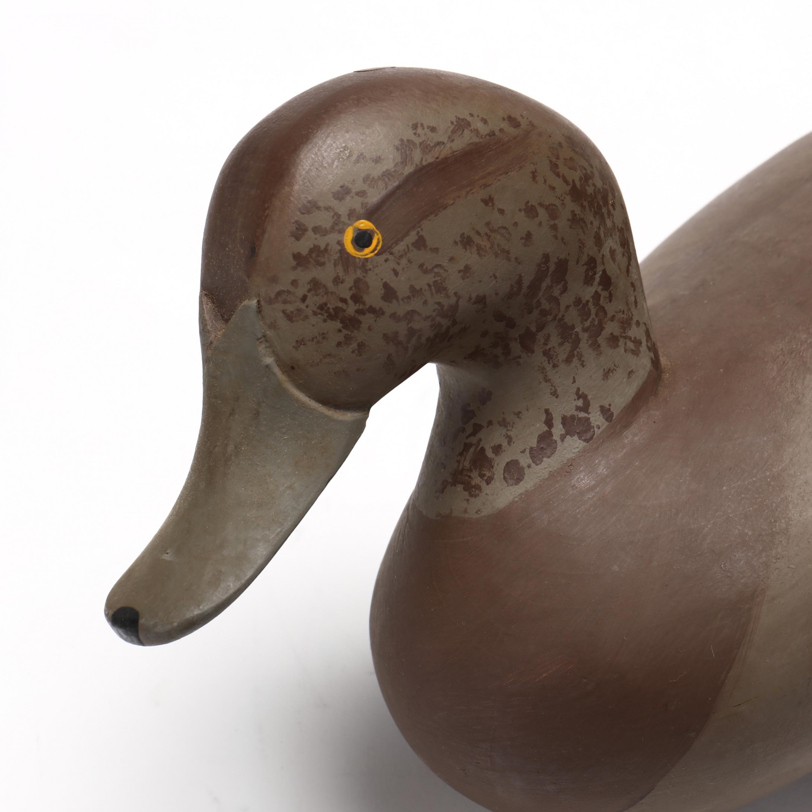 Robert Madison Mitchell | Widgeon Hen (1965) | MutualArt