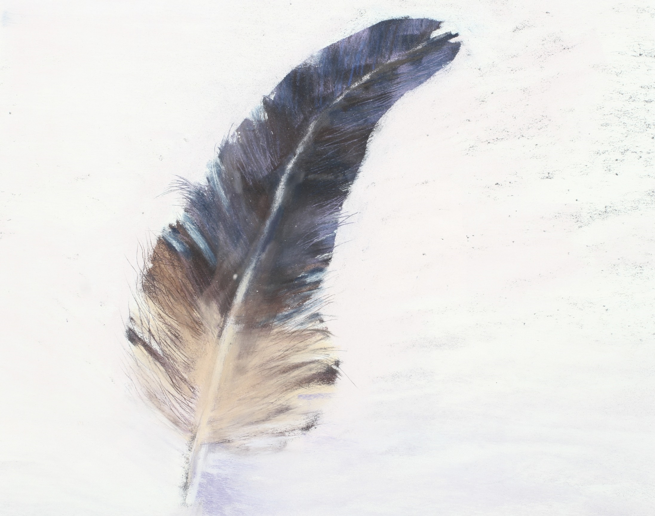 Costas Mikellides | The Feather | MutualArt