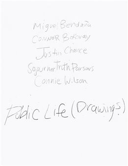 Public Life (Drawings) - Chris Andrews