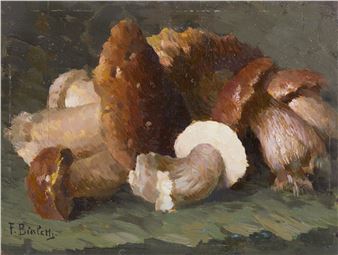 Still life with mushrooms - Ferdinando Bialetti