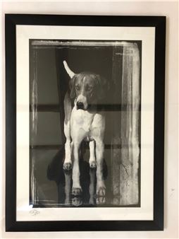 'The Expectant-Hound' - Charles Sainsbury-Plaice