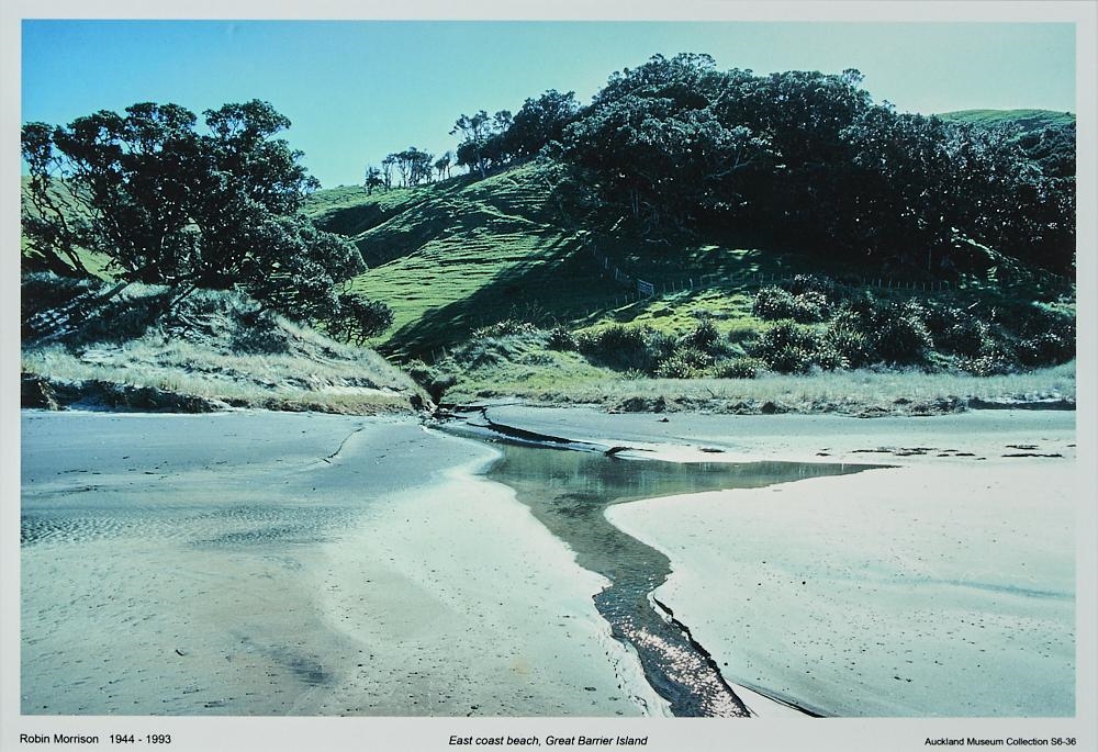Artwork by Robin Morrison, East Coast Beach, Great Barrier Island, Made of digital photo print on paper