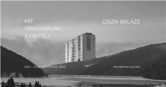 Balázs Csizik: What can we learn from the trees? - Ani Molnár Gallery  