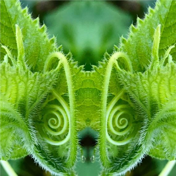 Myth In Form: A Group Exhibition by the  Alabama Women’s Caucus for Arts - Carnegie Visual Arts Center