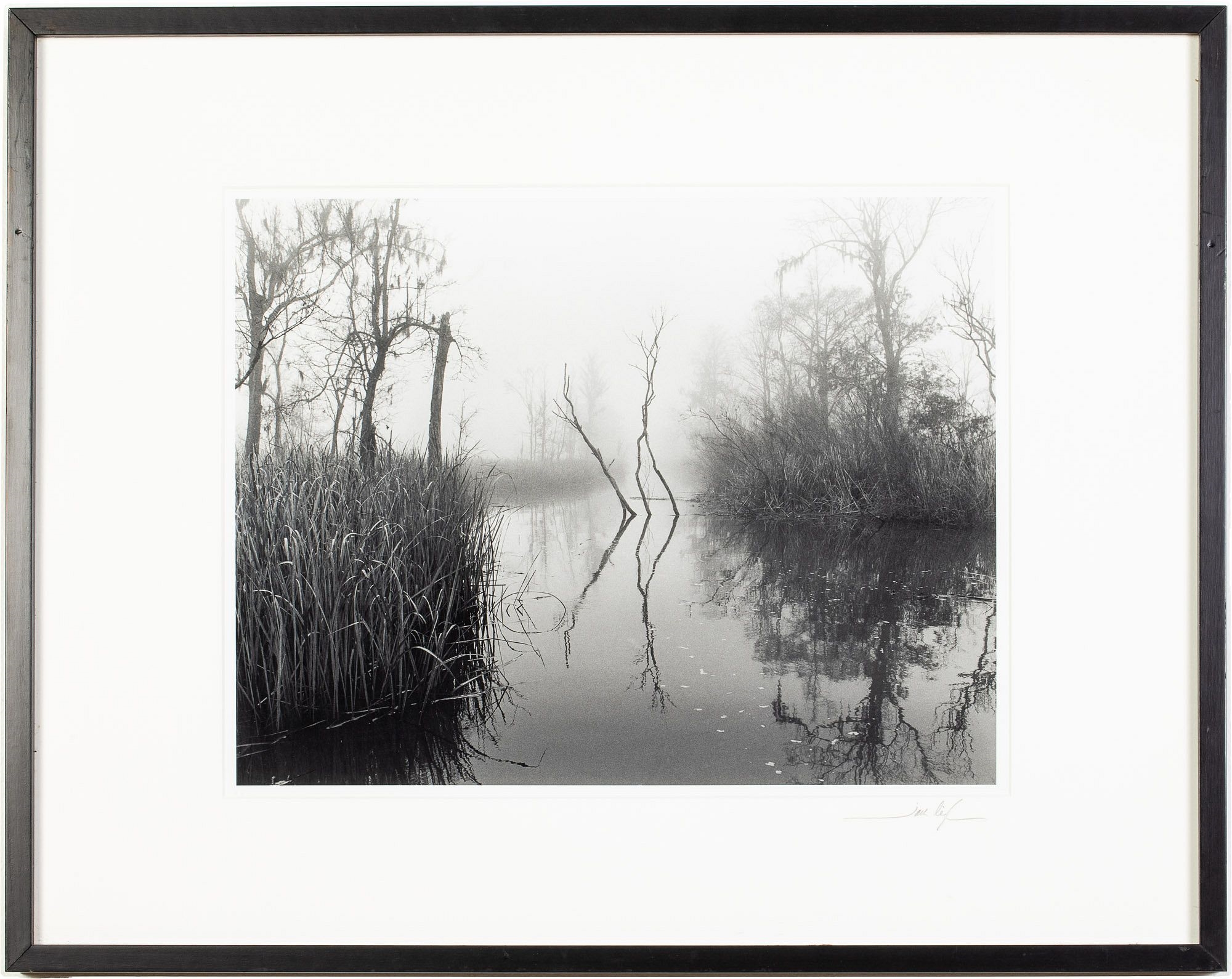 Artwork by Jack Leigh, Dancing Trees, Made of Silver Gelatin Print