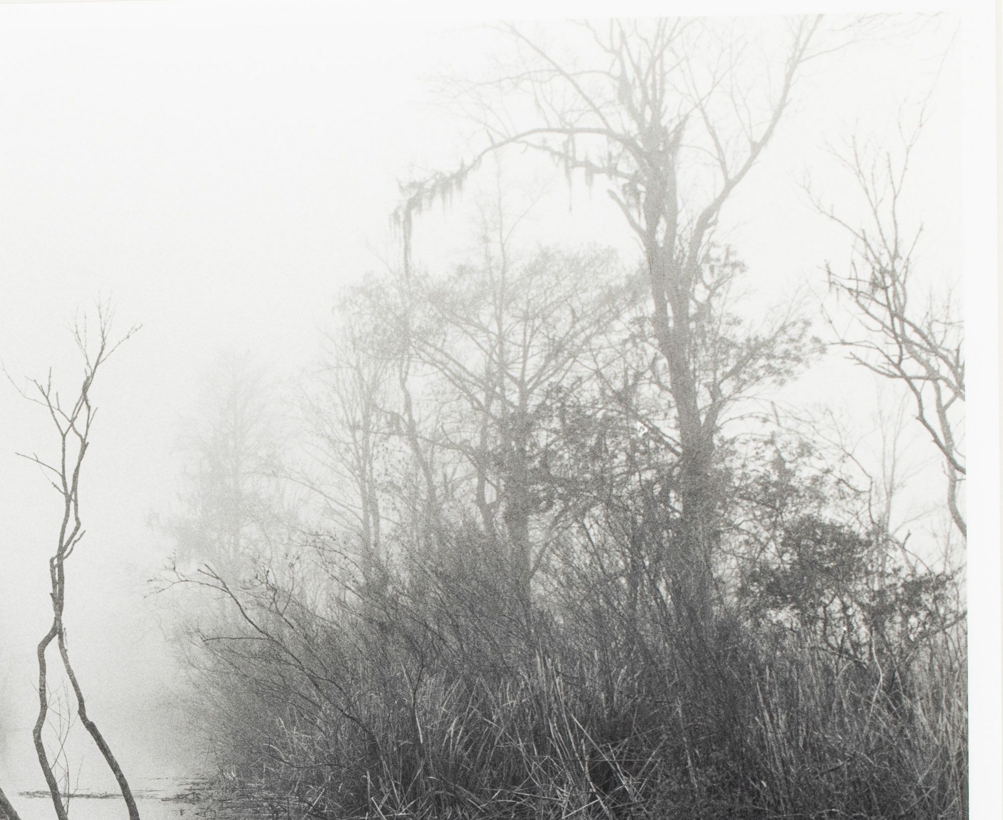 Artwork by Jack Leigh, Dancing Trees, Made of Silver Gelatin Print