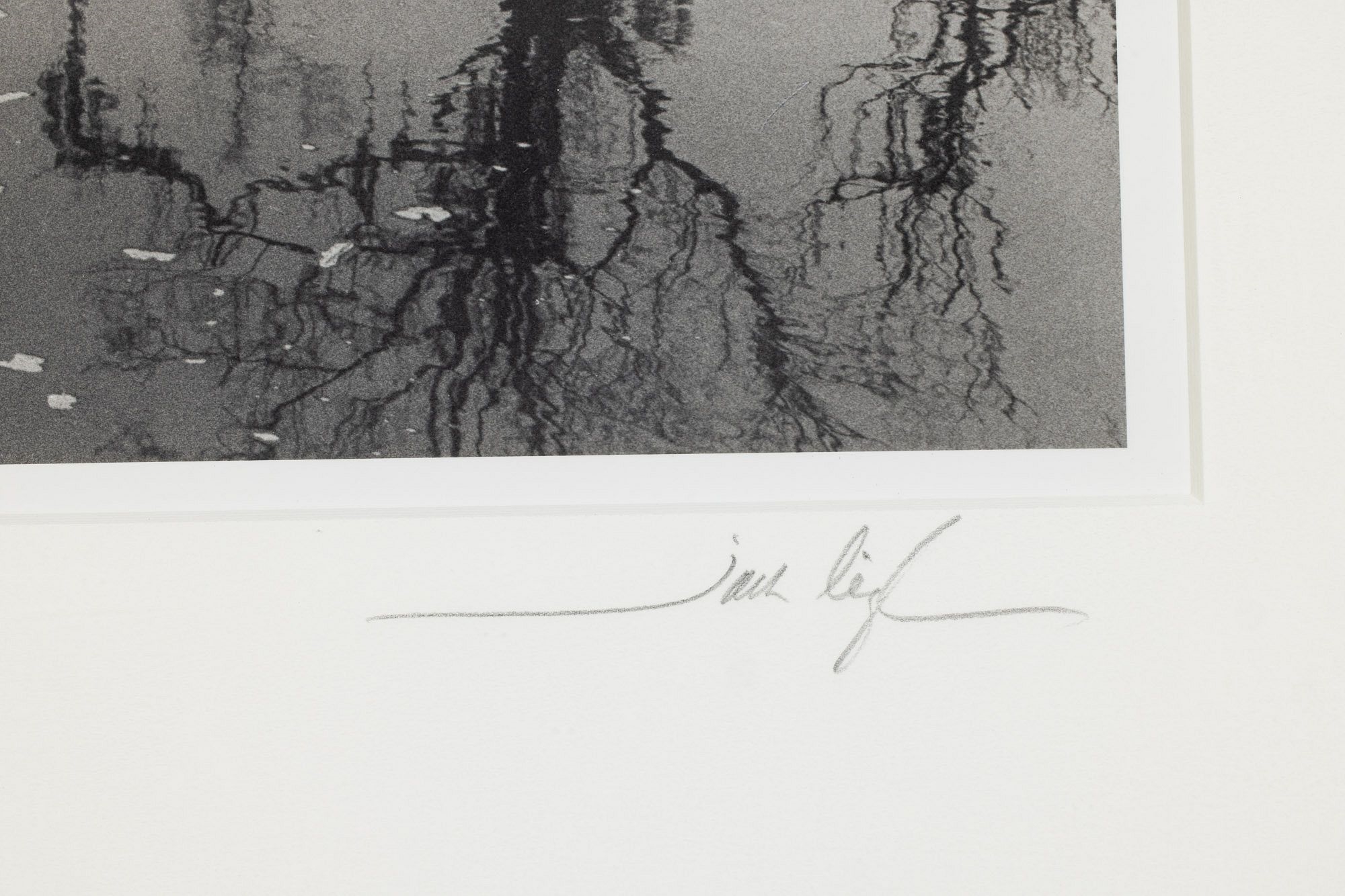 Artwork by Jack Leigh, Dancing Trees, Made of Silver Gelatin Print