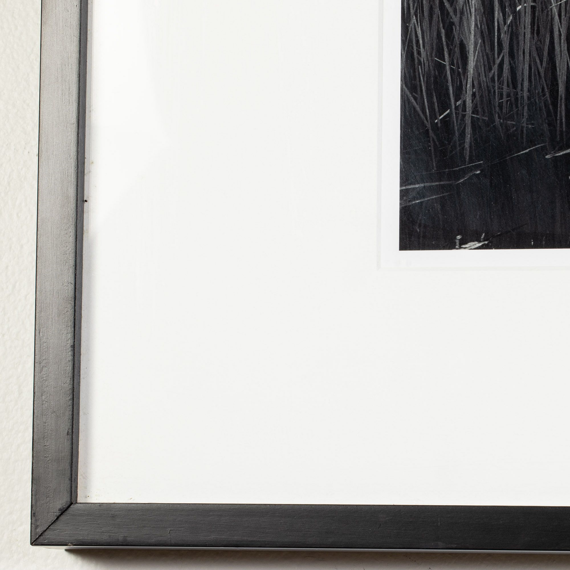 Artwork by Jack Leigh, Dancing Trees, Made of Silver Gelatin Print