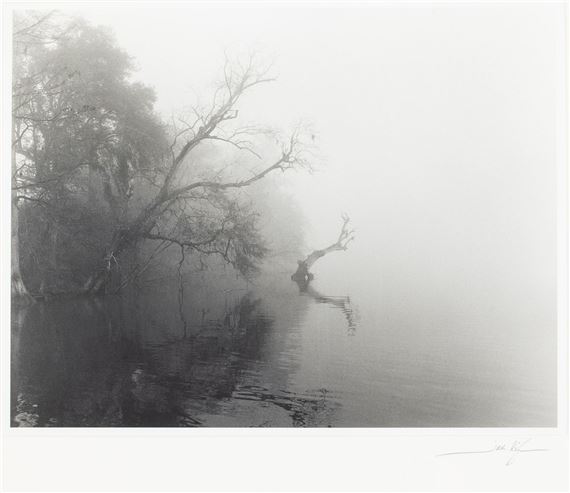 Ancient Trees by Jack Leigh, 1990