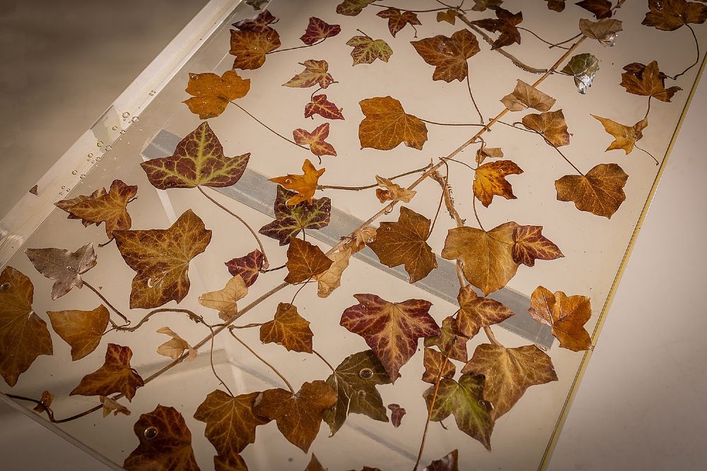 Sasha Sykes | THE IVY BENCH | MutualArt