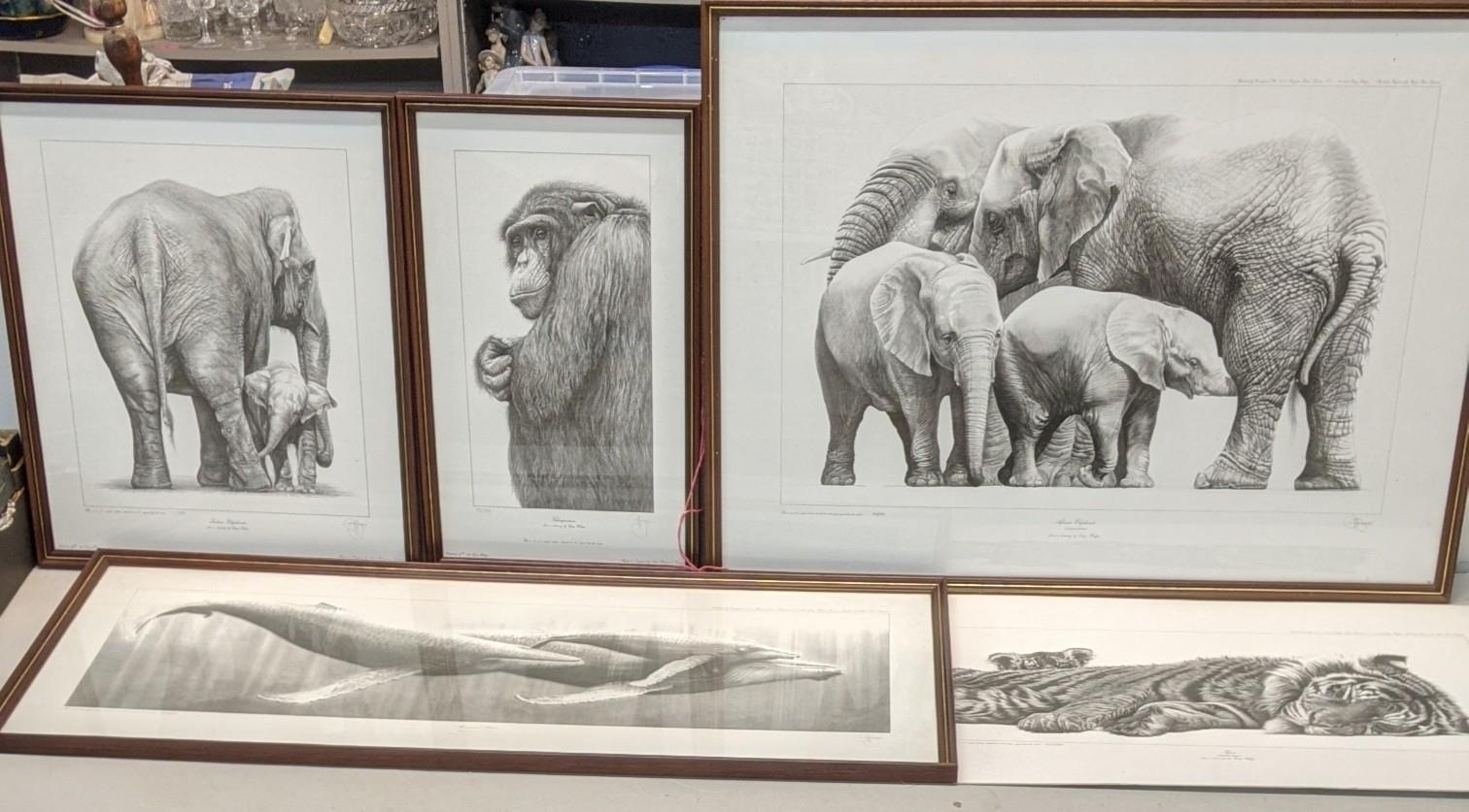 Artwork by Gary Hodges, Untitled, Made of prints