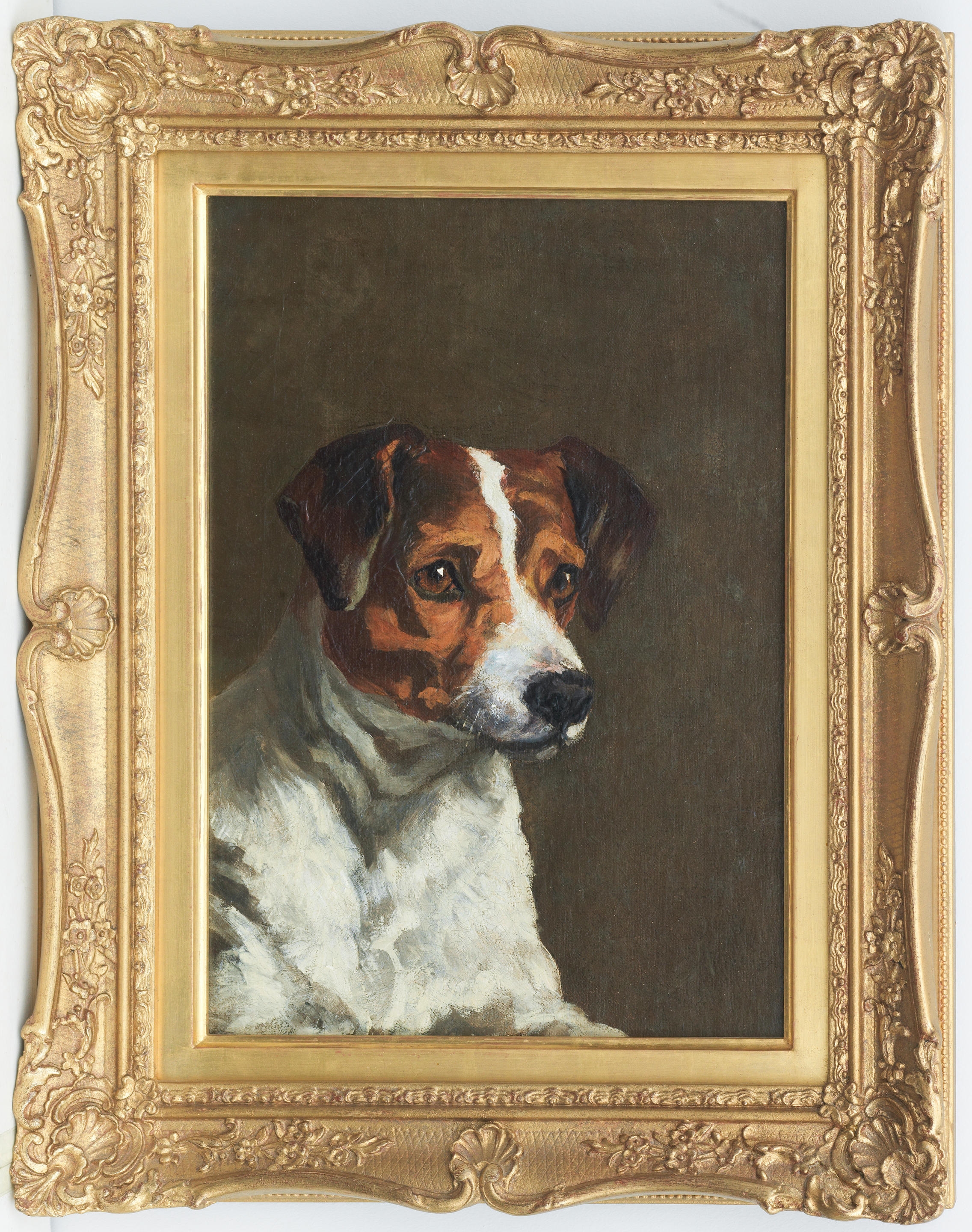 John Emms | A Jack Russell Terrier | MutualArt