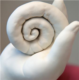 Jonathan Ehrenberg: Half and Half is a Vampire Laugh - Essex Flowers