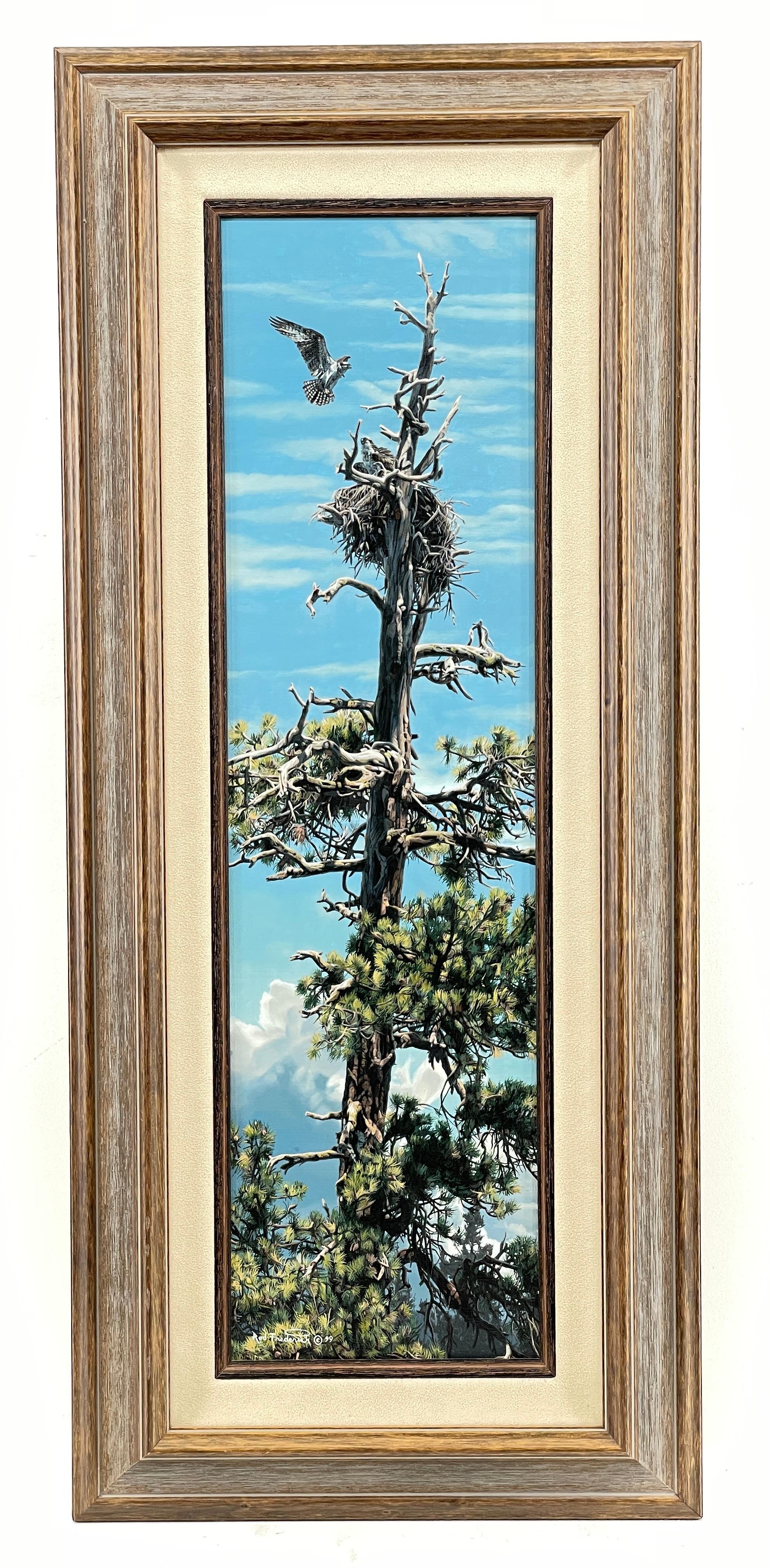 Rod Frederick | Rod Frederick (Born 1956) Family Tree - Ospreys Oil on ...