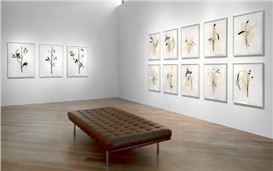 Five-Minute Tours: Randy Twaddle at Moody Gallery, Houston