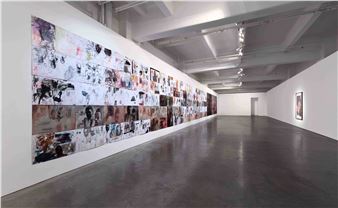 Mike Parr: Sunset Claws - Anna Schwartz Gallery, Melbourne