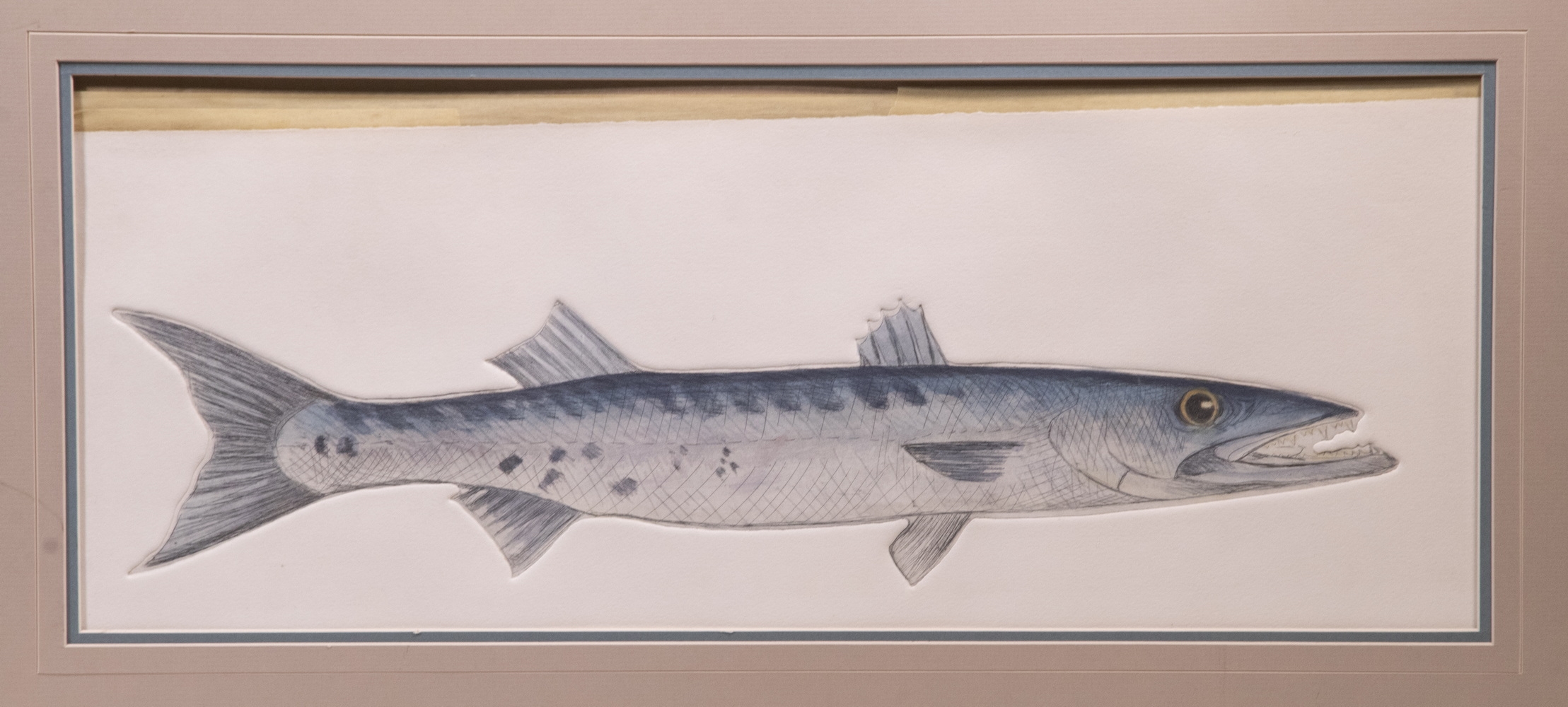 Charles Leonard | Group of (3) Intaglio Aquatints of Saltwater Fish ...