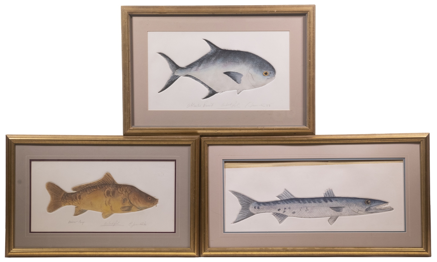 Charles Leonard | Group of (3) Intaglio Aquatints of Saltwater Fish ...