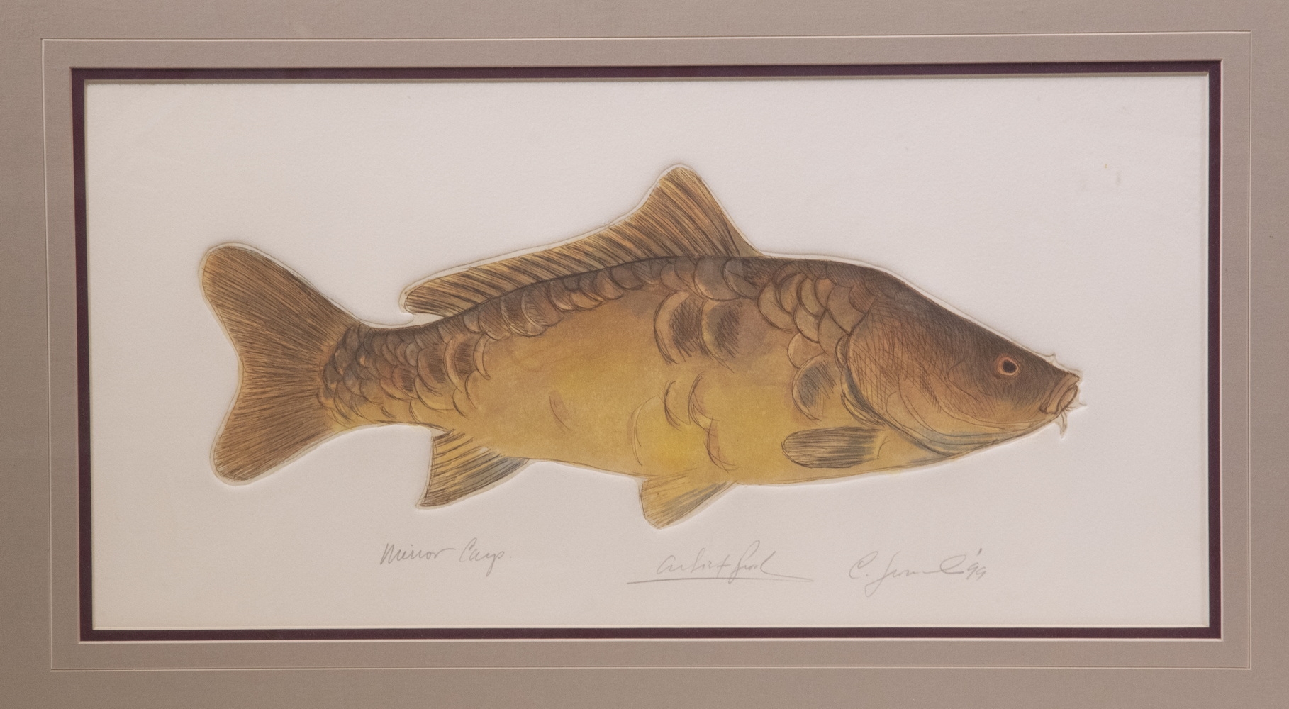 Charles Leonard | Group of (3) Intaglio Aquatints of Saltwater Fish ...