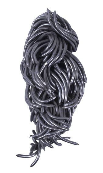 Mane by John Bisbee, 2017