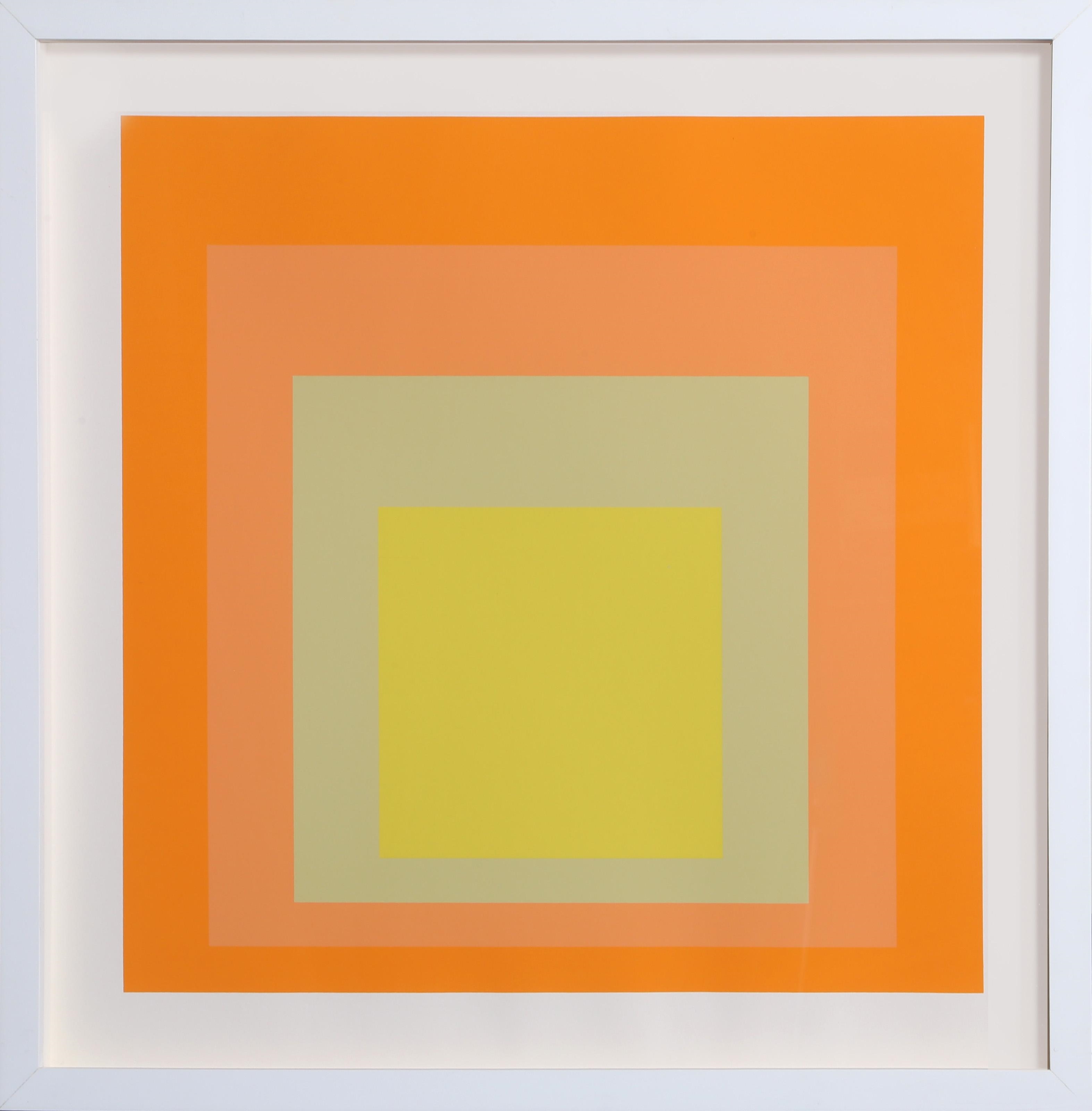 Josef Albers | Interaction of Color (1973) | MutualArt