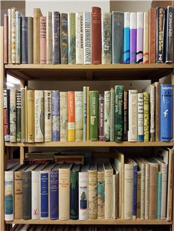 A large collection of modern fiction & miscellaneous reference - Lung Yuet Ching