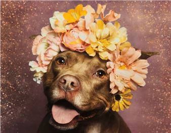 NYC Show Puts the Lens on Pet Photography