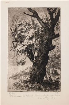 STARY DĄB - Maria Hiszpanska-Neumann