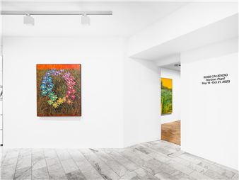 Ross Caliendo: Horizon Pupil - Loyal Gallery