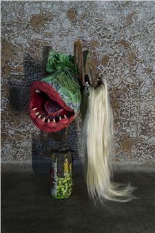 Radical Symbiosis: The Social Life of Microbes at Radius Center for Contemporary Art and Ecology