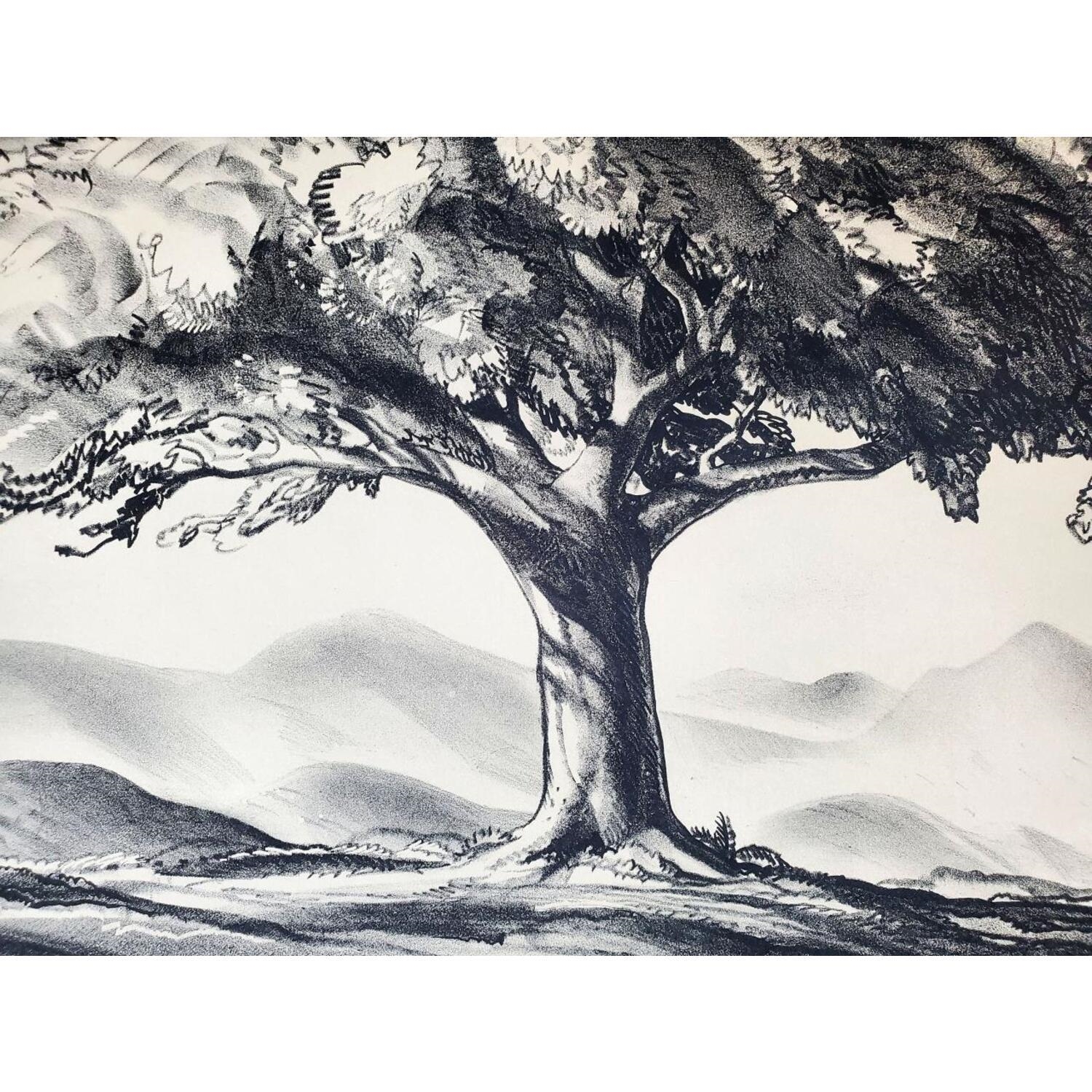 Rockwell Kent | Rockwell Kent (1882-1971) The Tree Lithograph | MutualArt