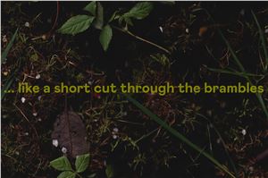 Coventry Biennial 2023: ...Like A Short Cut Through The Brambles - The Herbert Art Gallery & Museum