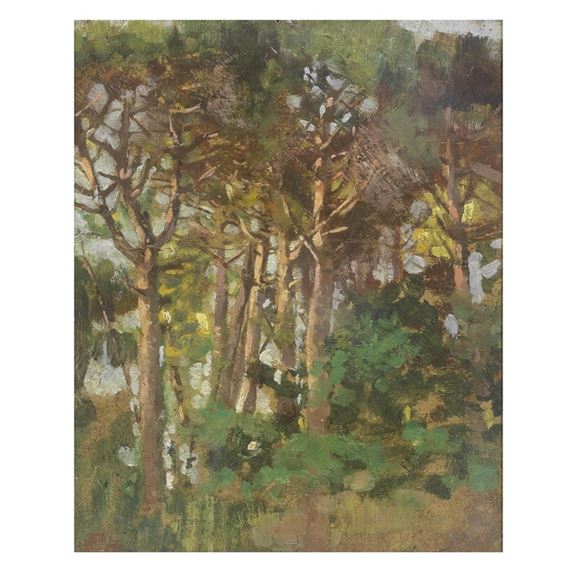 SUNNY FOREST by Francesco Gioli