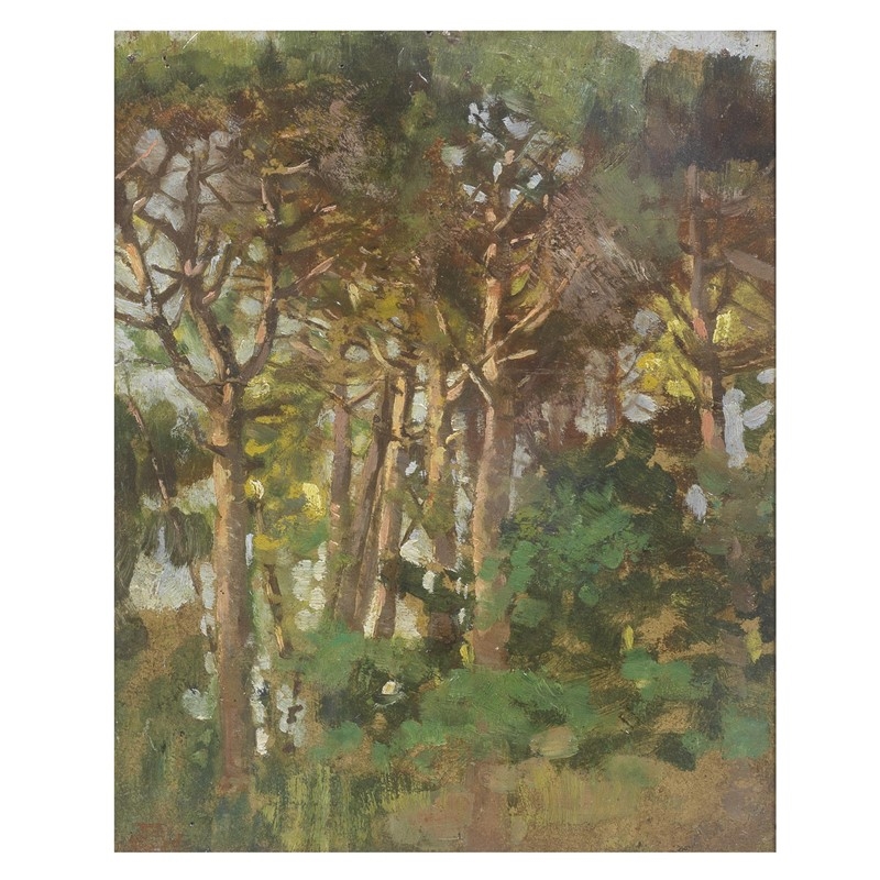 Artwork by Francesco Gioli, SUNNY FOREST, Made of oil on cardboard