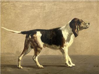 Chien de chasse - Edmond Joseph de Pratere