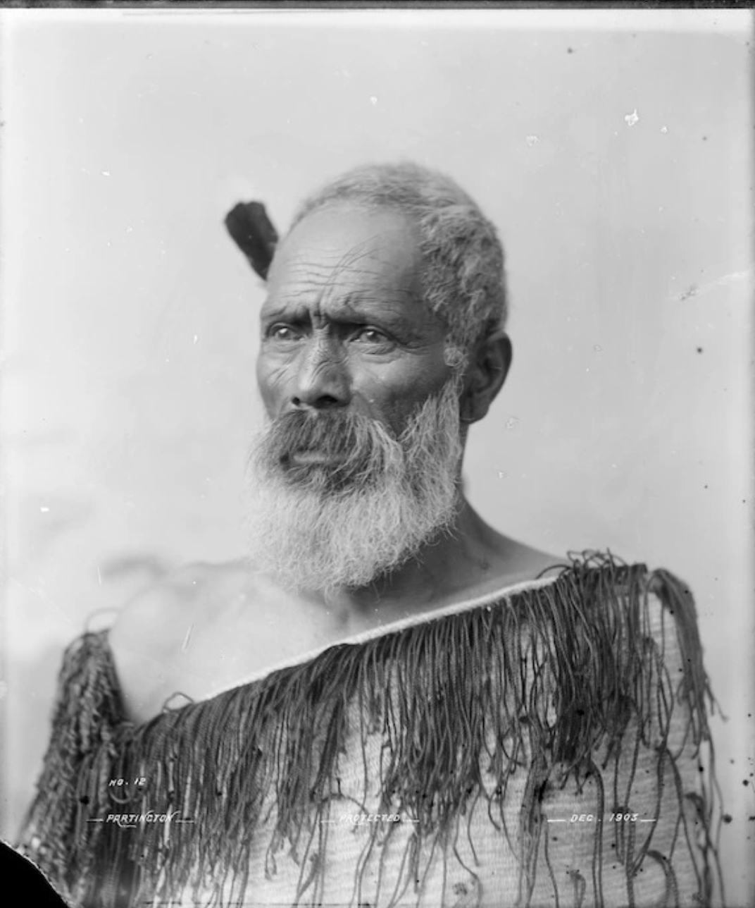 William Henry Thomas Partington | Maori Tane Wearing Korowai | MutualArt