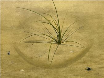 Compass Grass - Kib Bramhall