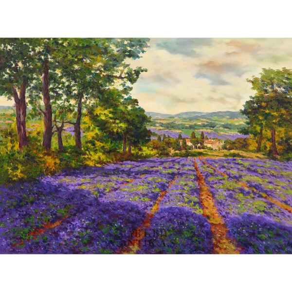 Artwork by Paolo Bigazzi, Lavanta Bahçesi, Made of oil on canvas