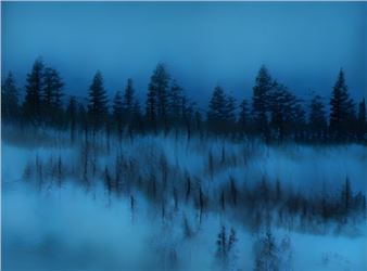 Fusion of Photography and Artificial Intelligence by Ivona Tau