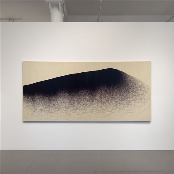 Il Lee: Drawing Nature’s Vital... | Exhibitions | MutualArt